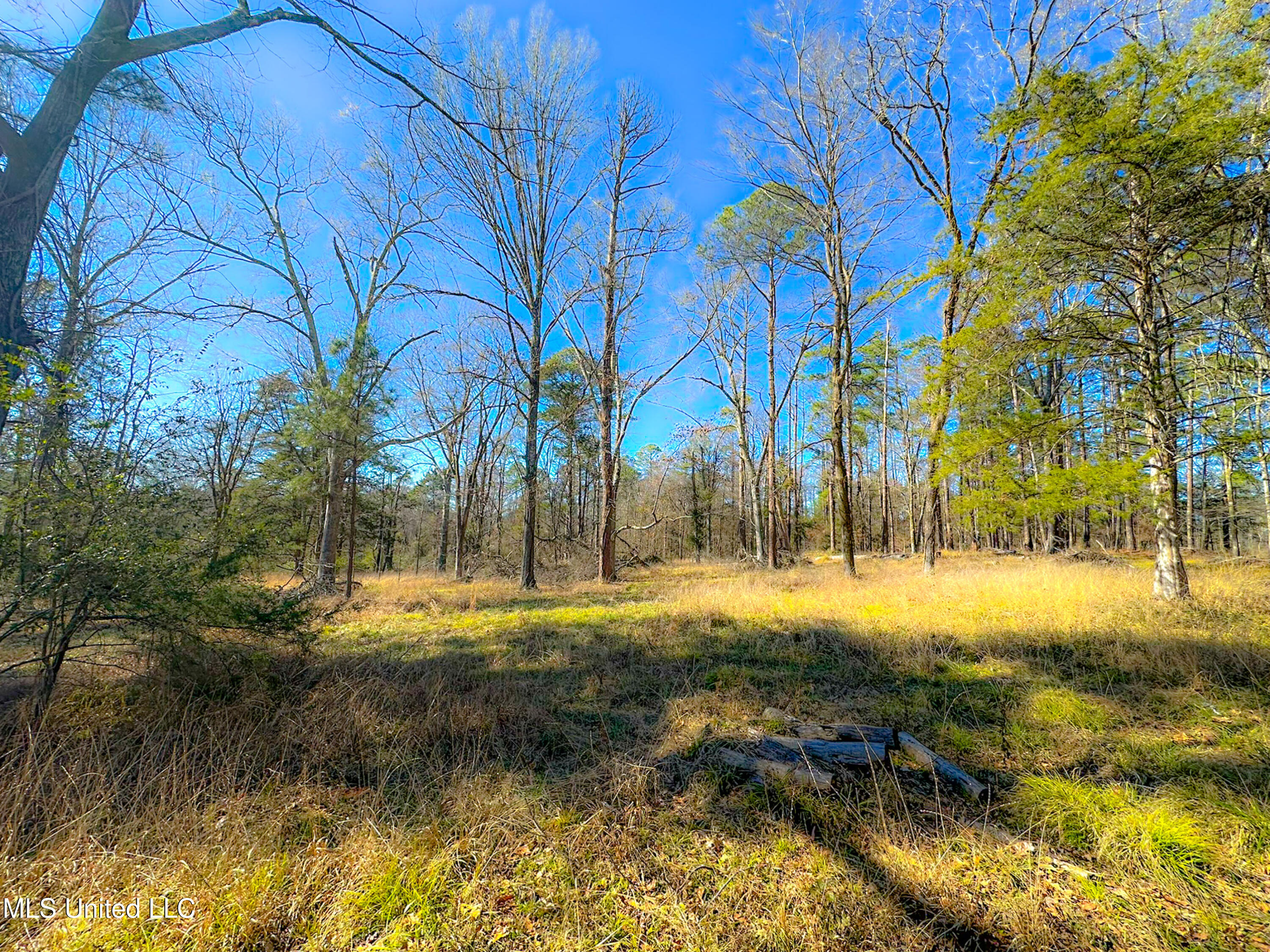 Picnic Hill Road, Madison, Mississippi image 9