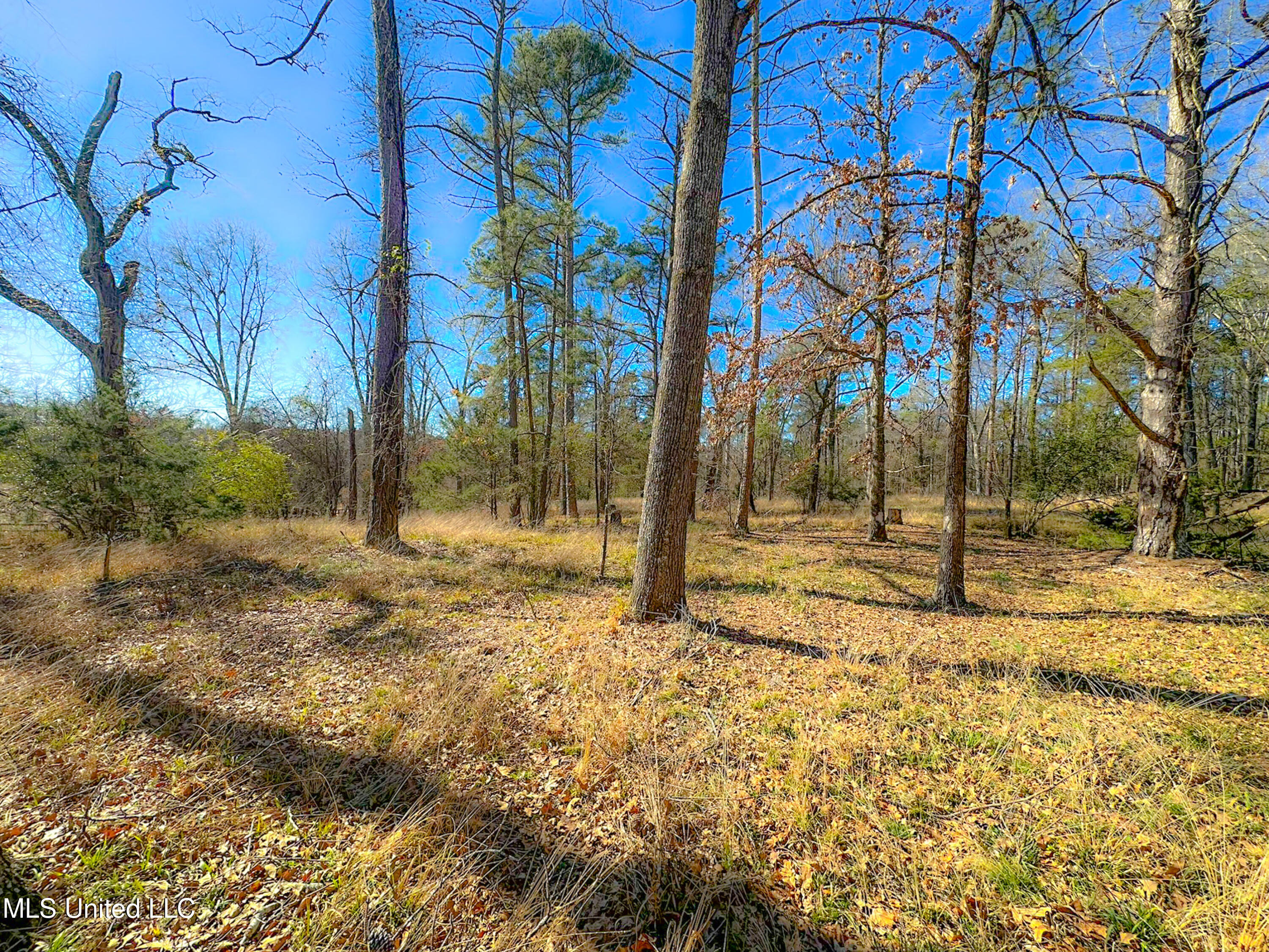 Picnic Hill Road, Madison, Mississippi image 6