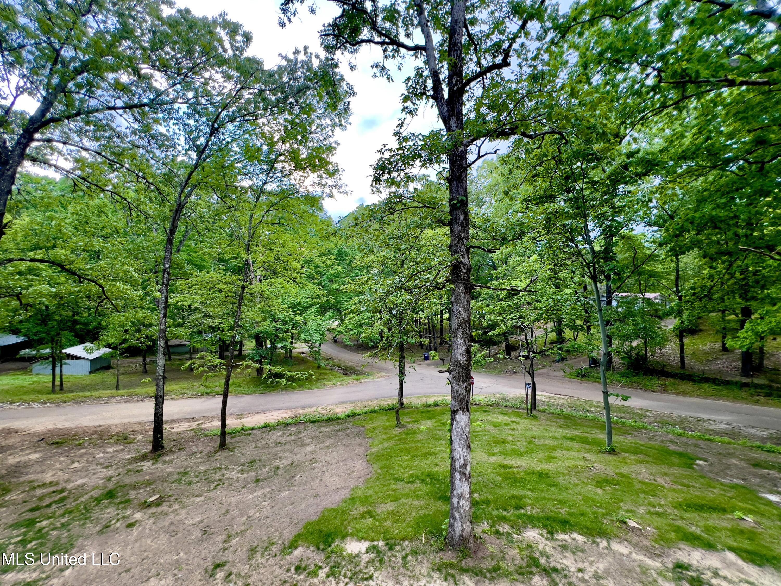 100 Dogwood Drive, Ashland, Mississippi image 17