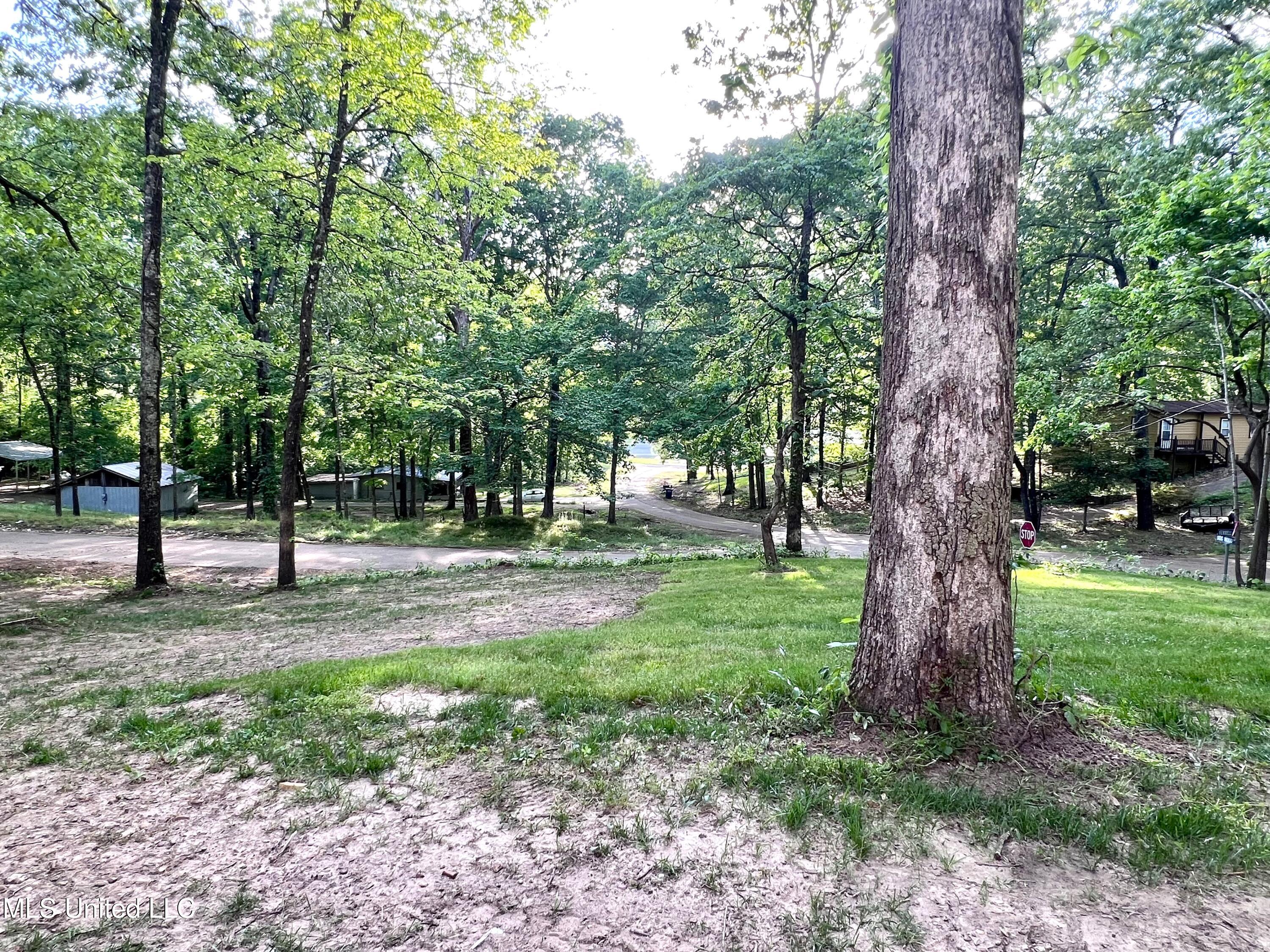 100 Dogwood Drive, Ashland, Mississippi image 20