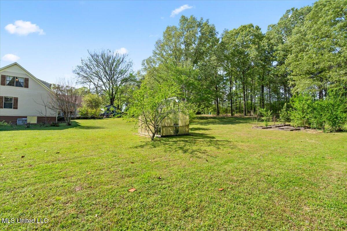 29 Forest Hill Road, Byhalia, Mississippi image 20