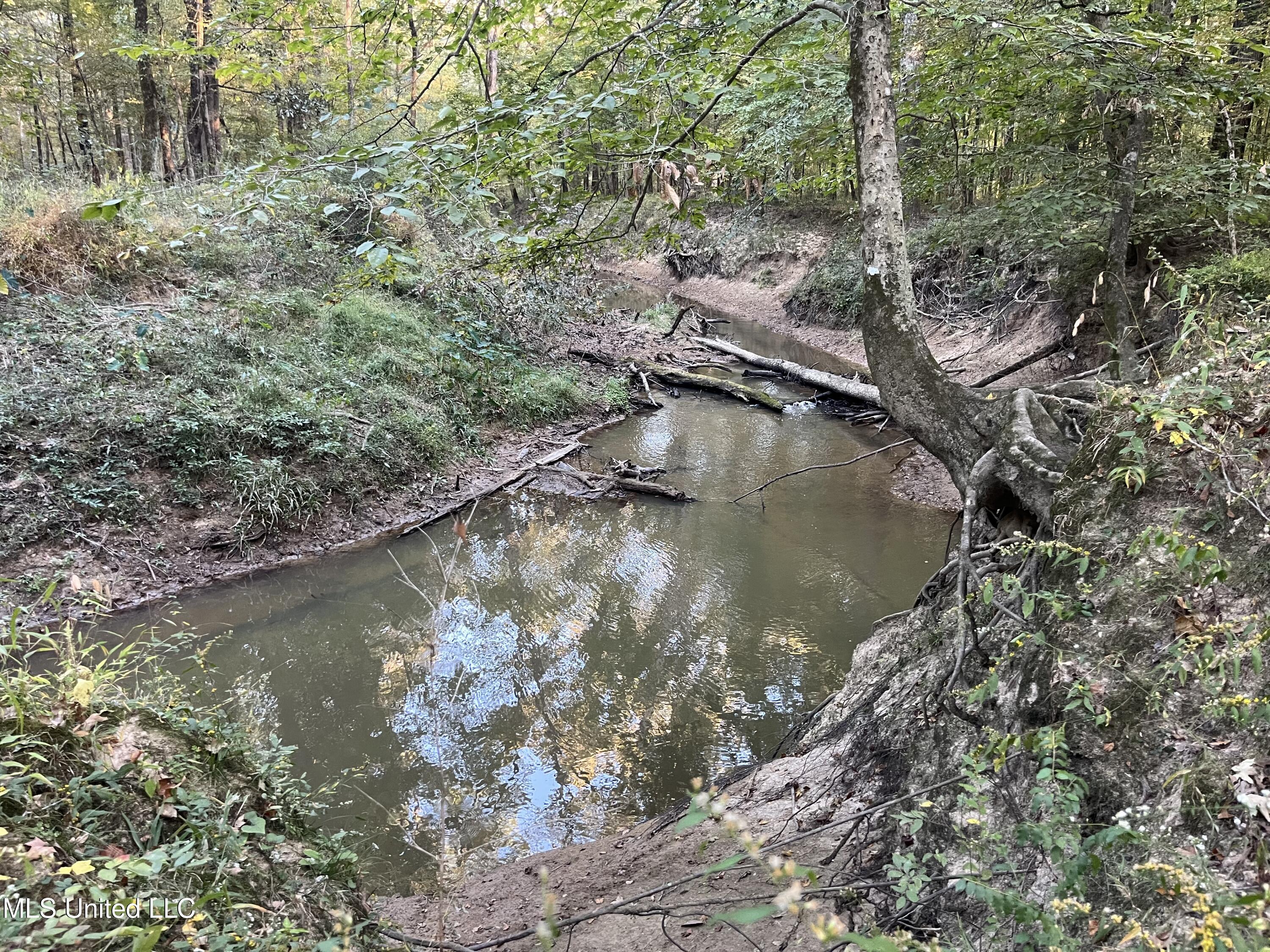 Percy Davis Road, Bolton, Mississippi image 38