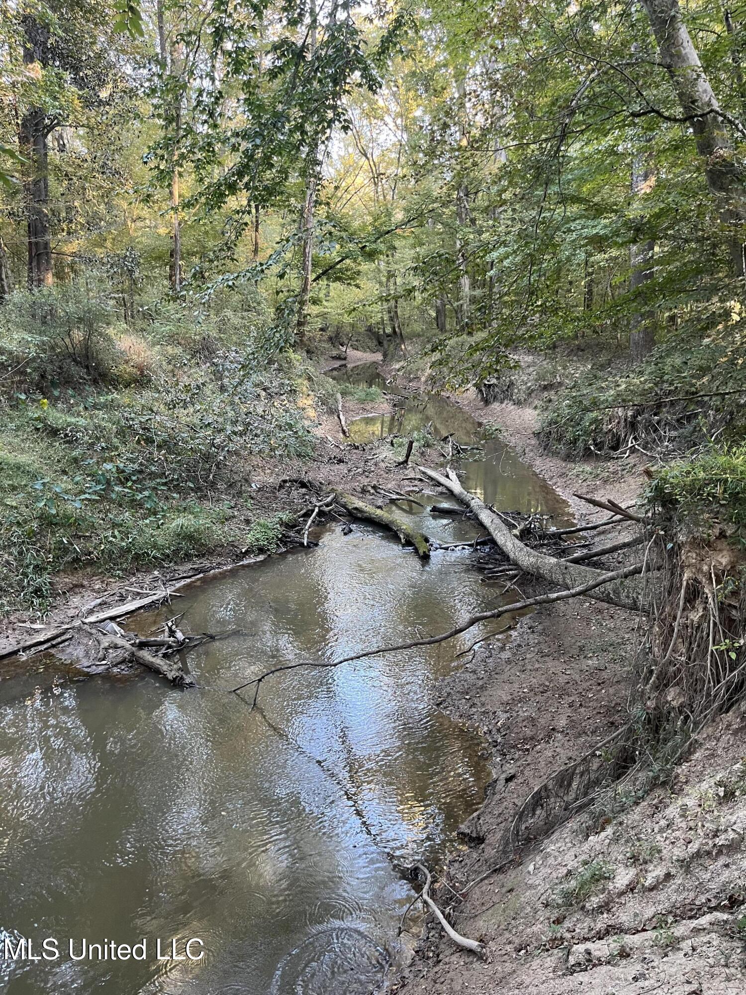 Percy Davis Road, Bolton, Mississippi image 36