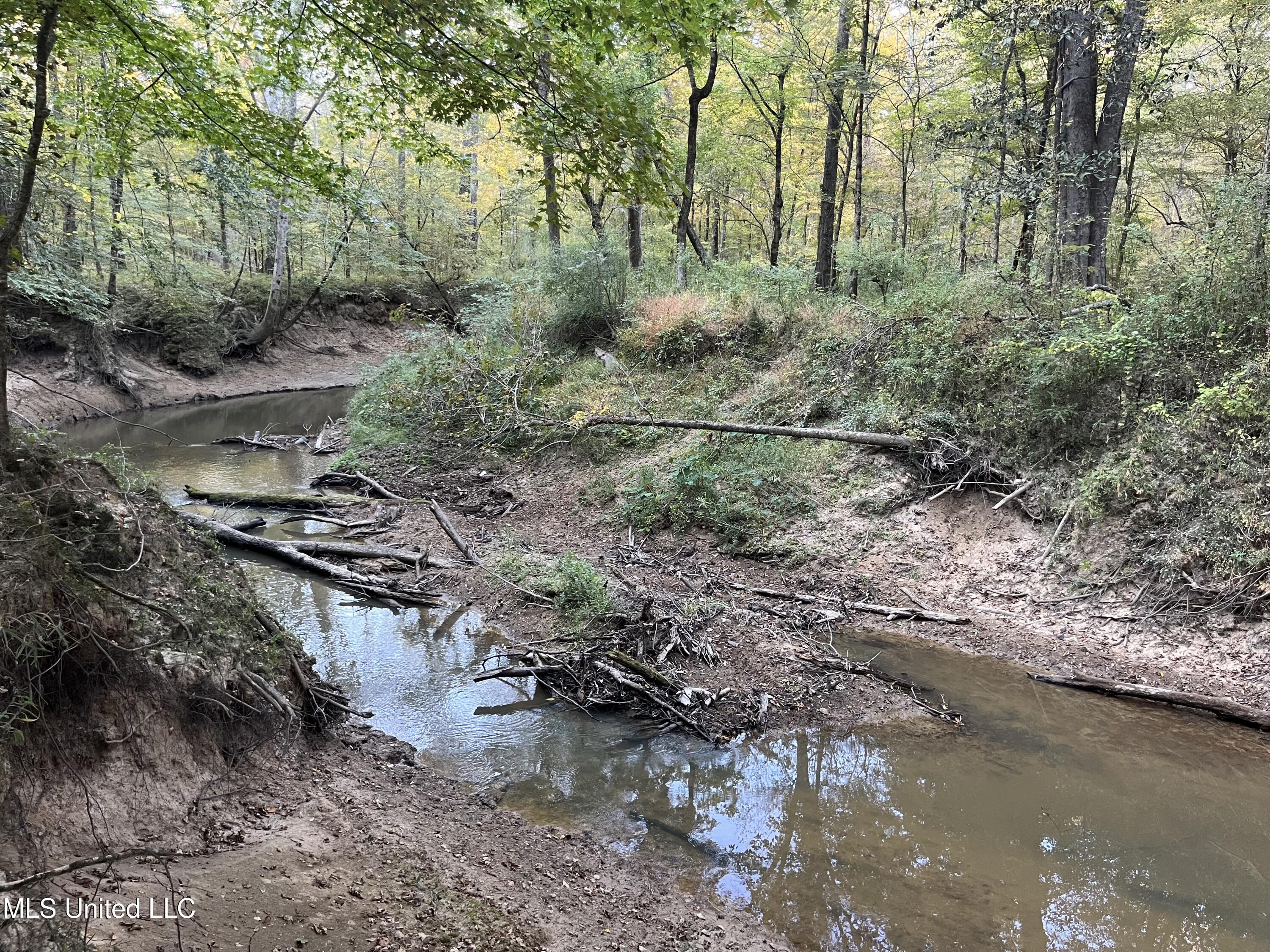 Percy Davis Road, Bolton, Mississippi image 35