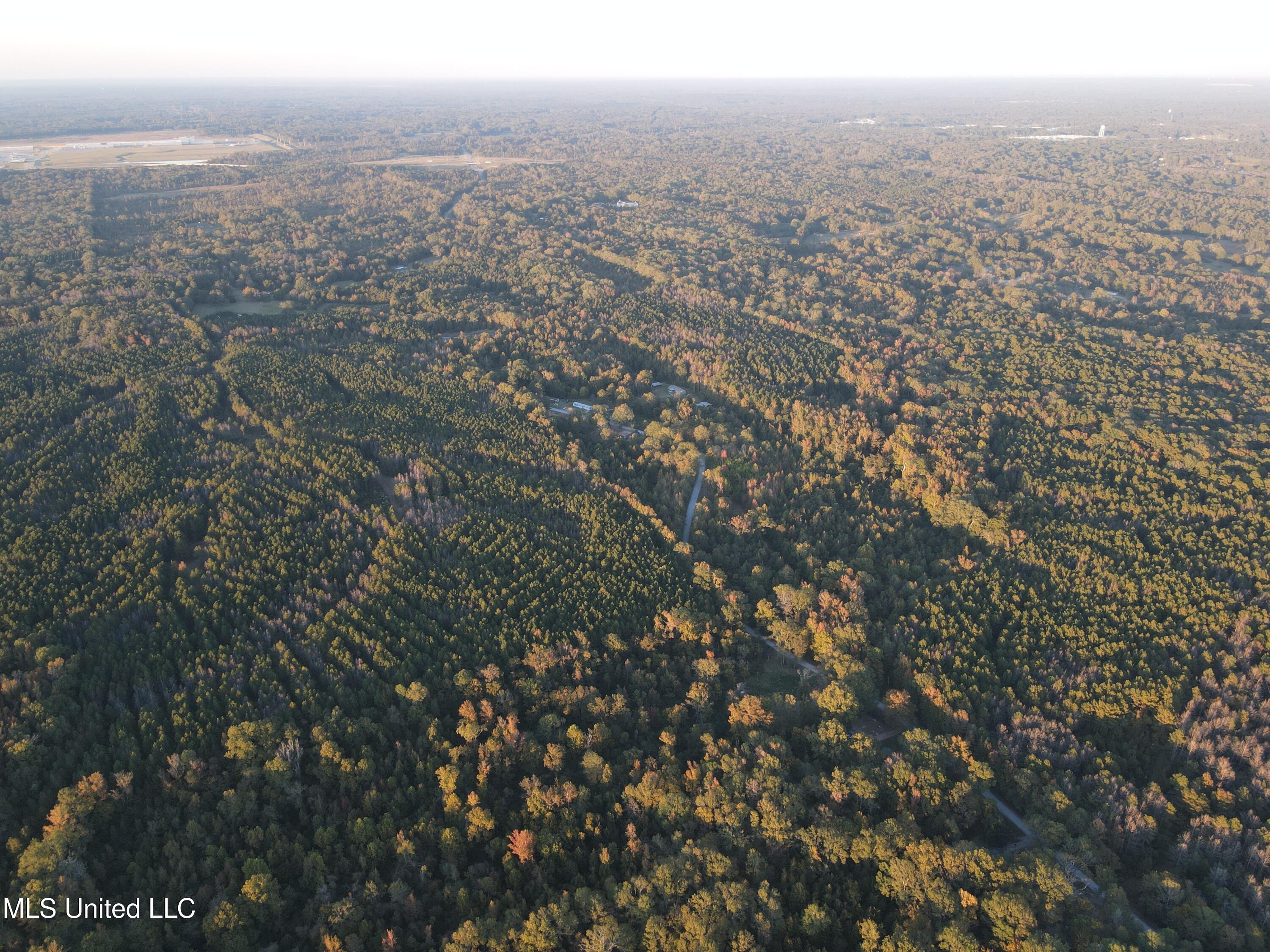 Percy Davis Road, Bolton, Mississippi image 47