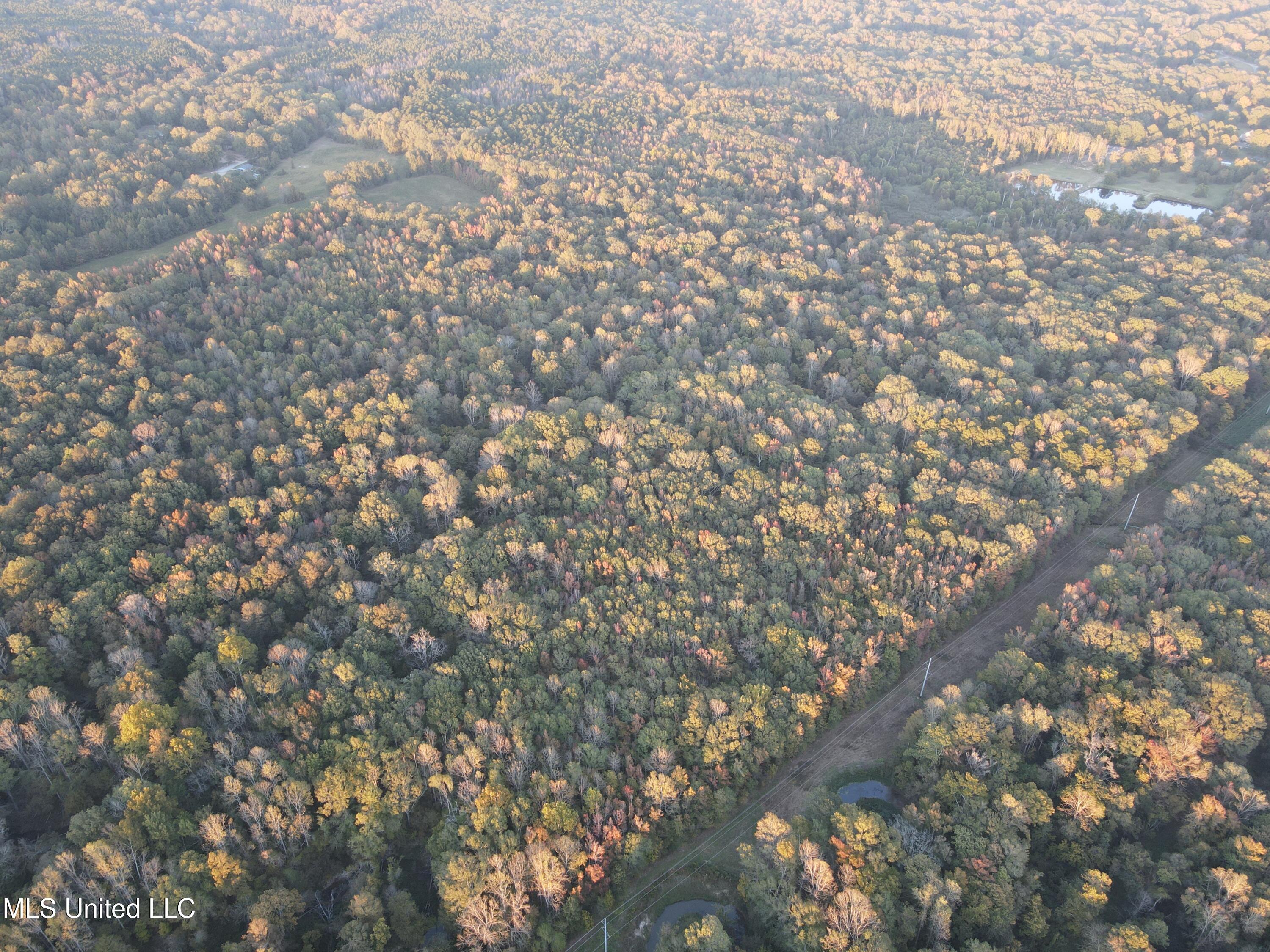 Percy Davis Road, Bolton, Mississippi image 41