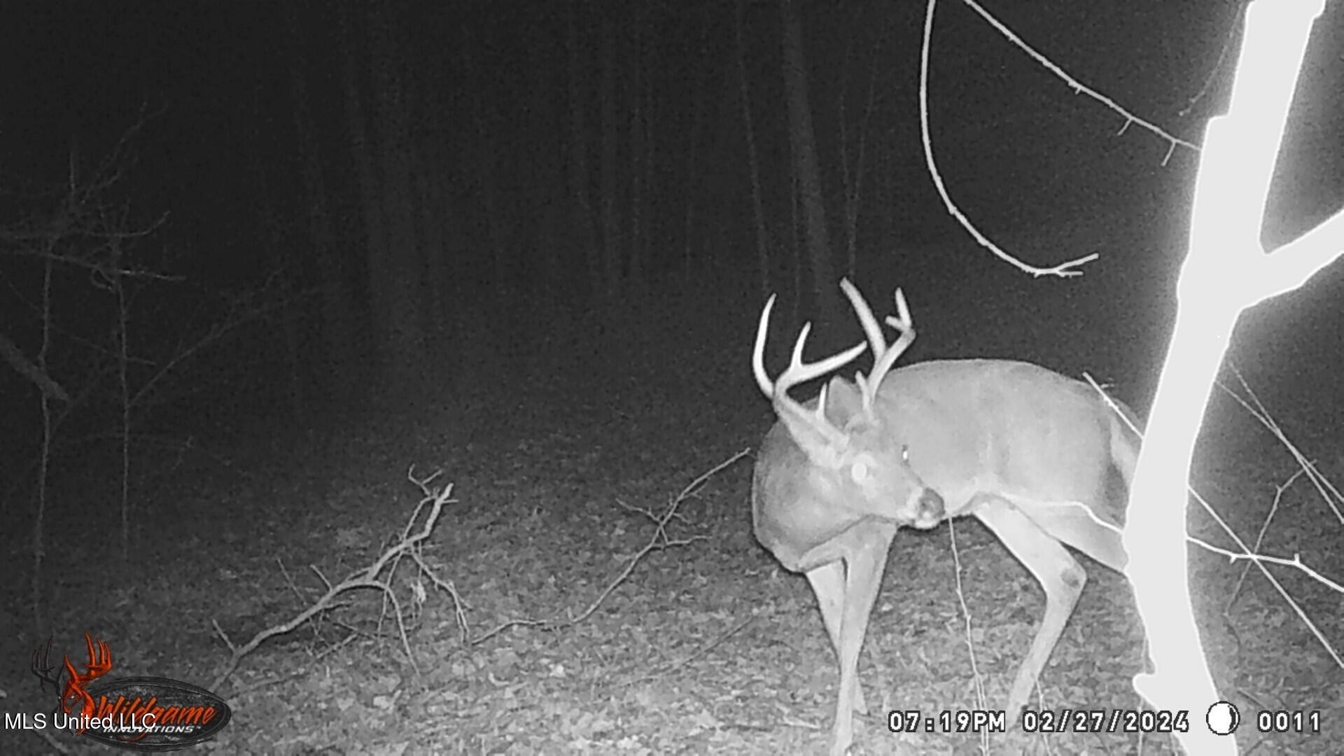 Lot 3 Woodlawn Road, Byhalia, Mississippi image 9