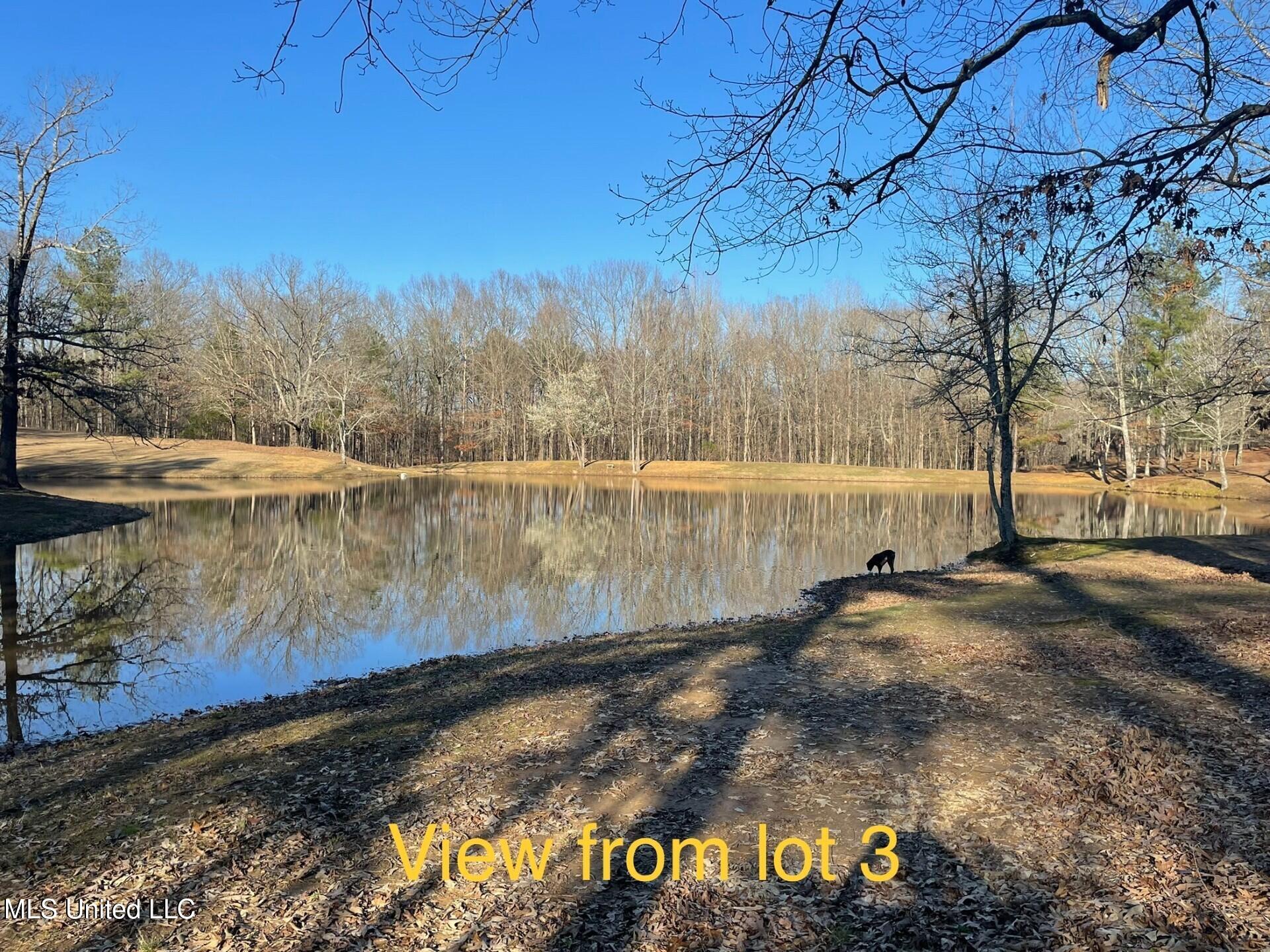 Lot 3 Woodlawn Road, Byhalia, Mississippi image 8