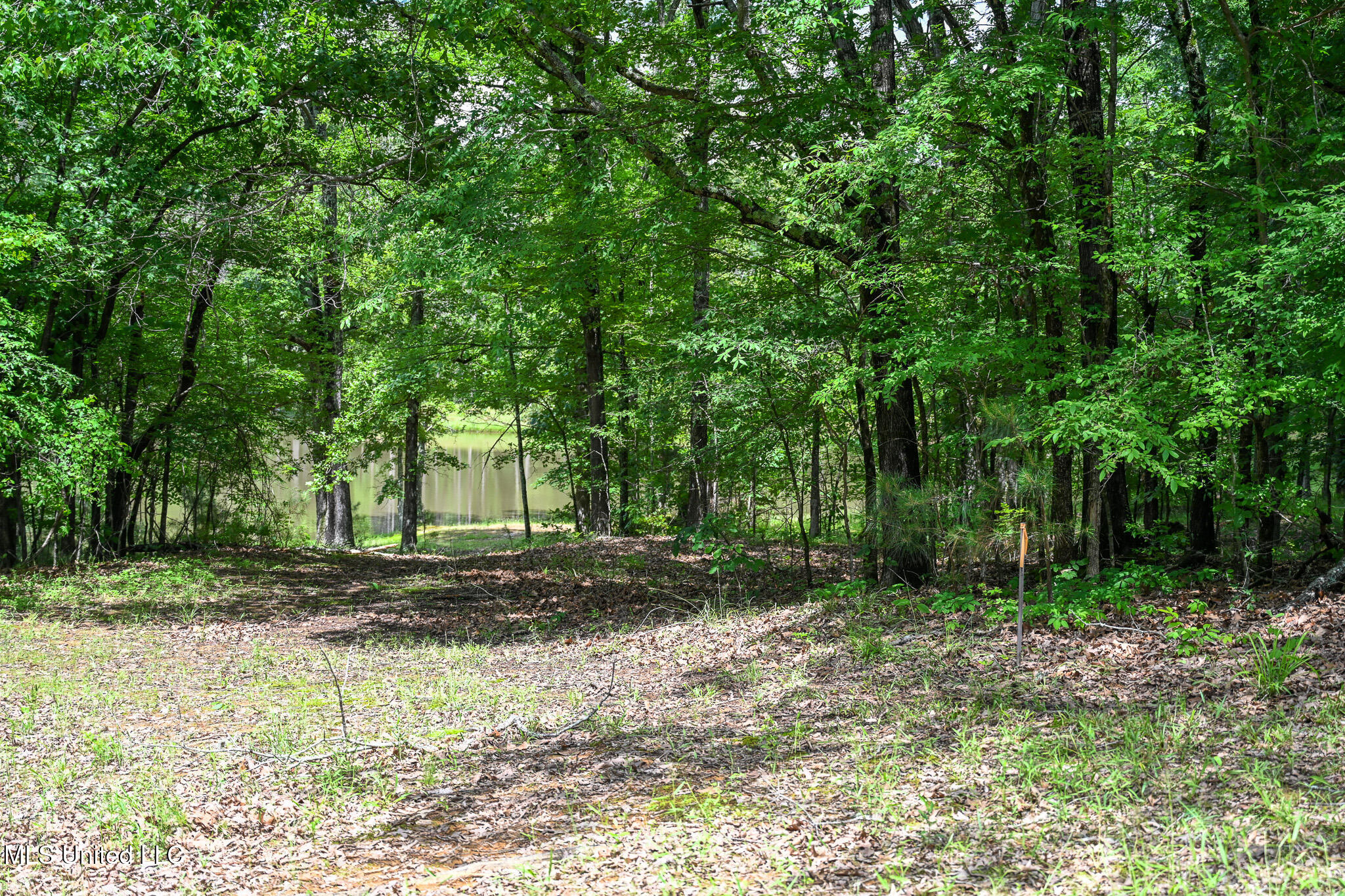 Lot 3 Woodlawn Road, Byhalia, Mississippi image 4