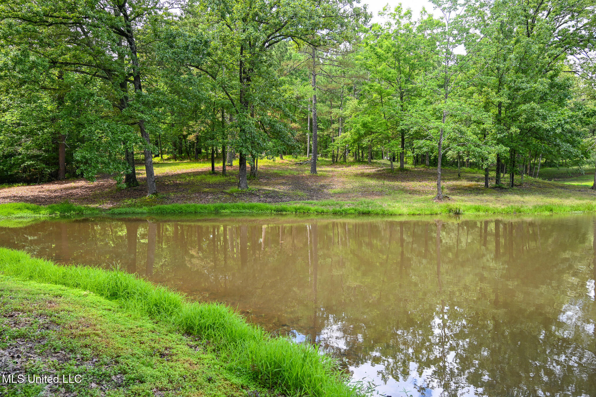 Lot 3 Woodlawn Road, Byhalia, Mississippi image 5