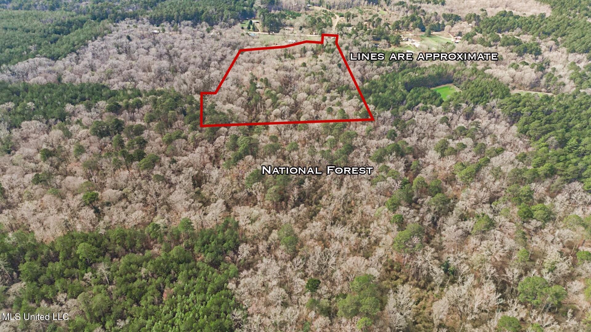 4626 New Hope Road, Gloster, Mississippi image 3