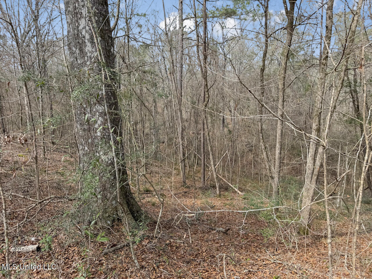 4626 New Hope Road, Gloster, Mississippi image 20