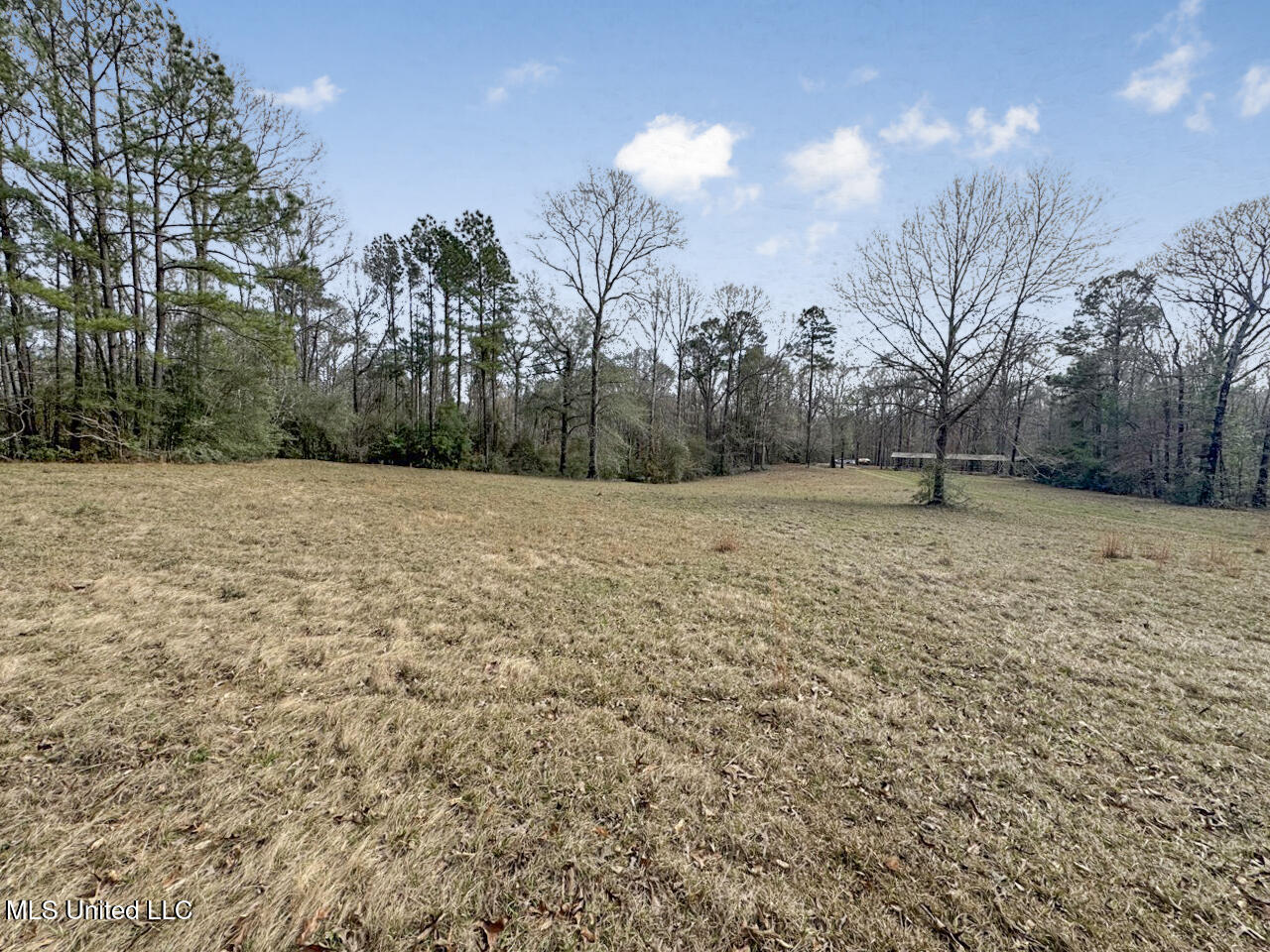 4626 New Hope Road, Gloster, Mississippi image 22