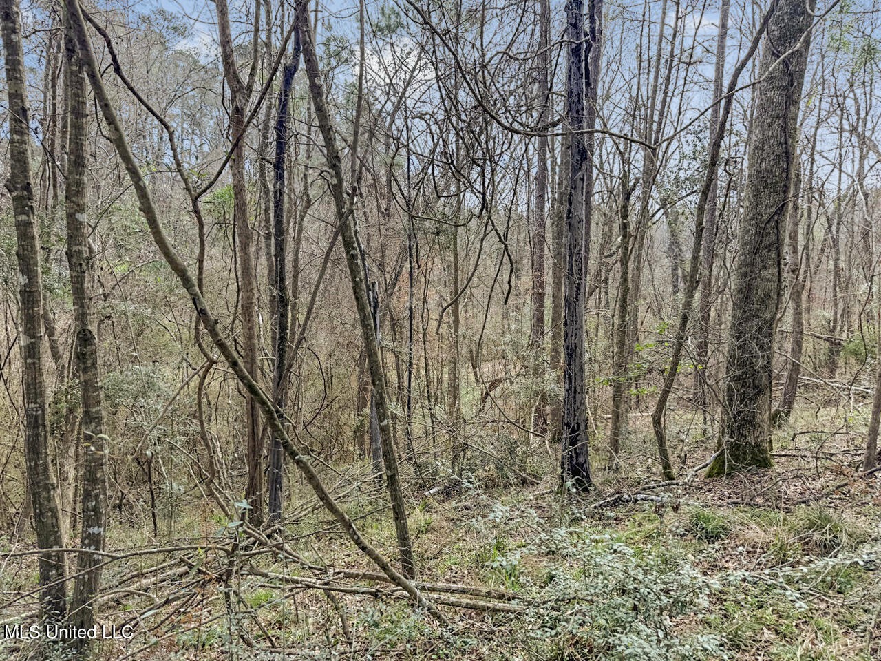 4626 New Hope Road, Gloster, Mississippi image 19