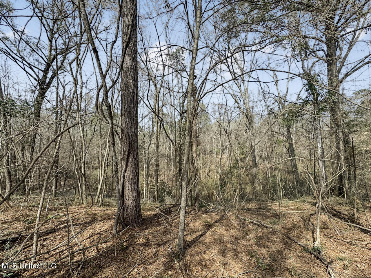 4626 New Hope Road, Gloster, Mississippi image 18