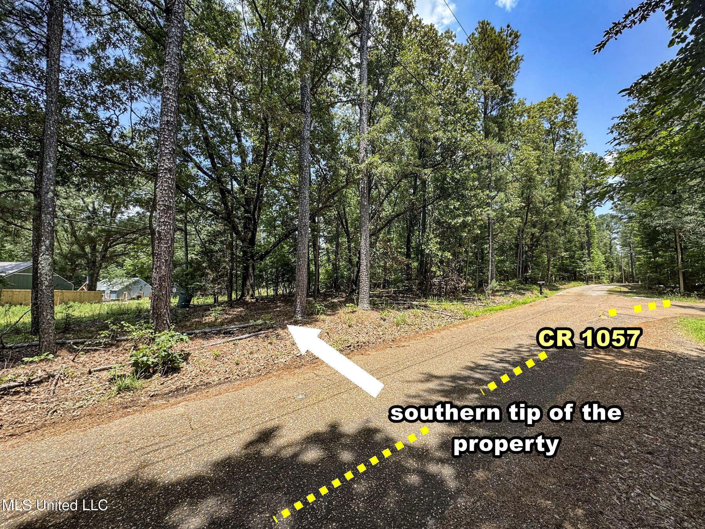 112 College Hill Road, Oxford, Mississippi image 31