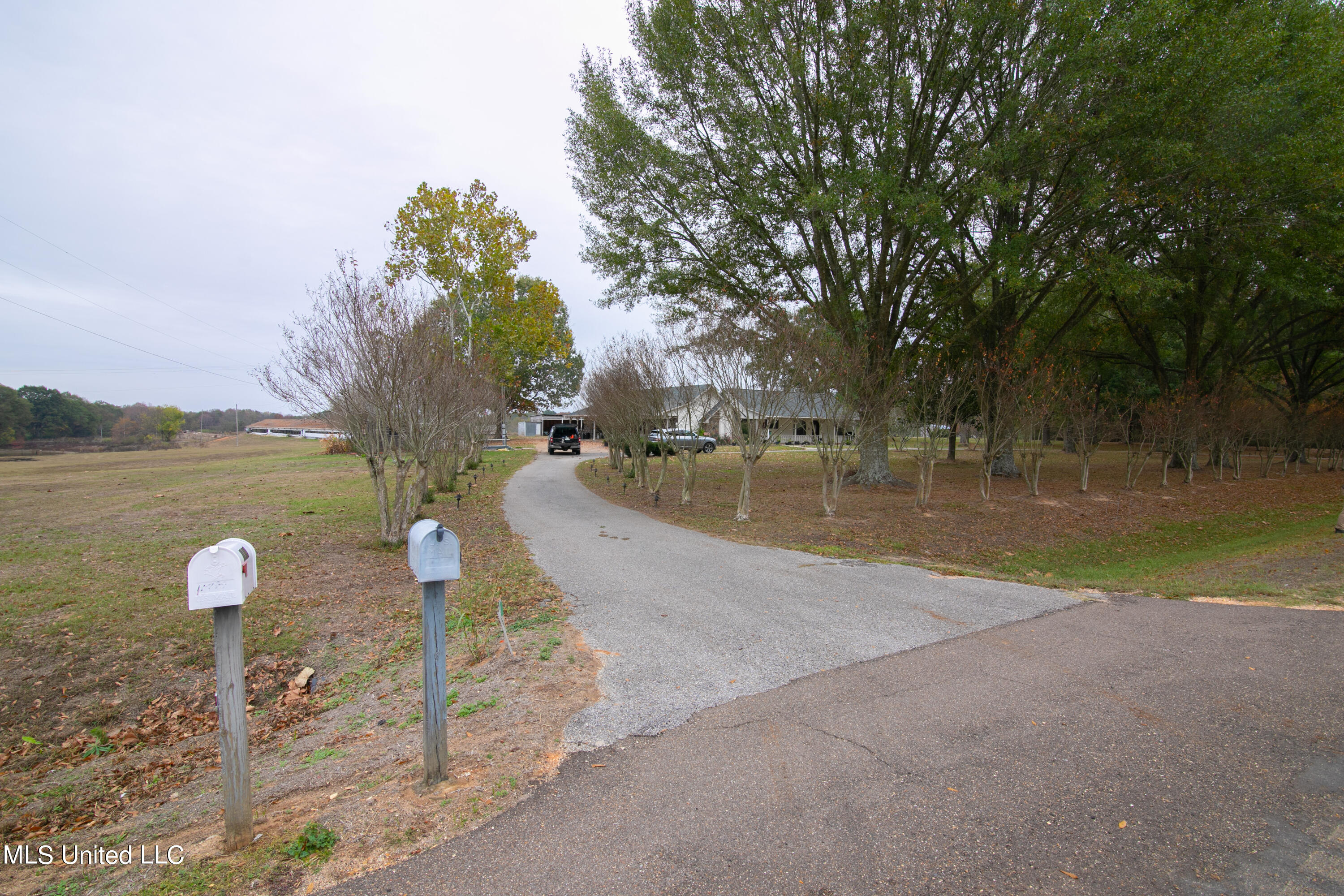 15760 Highway 35, Mize, Mississippi image 2