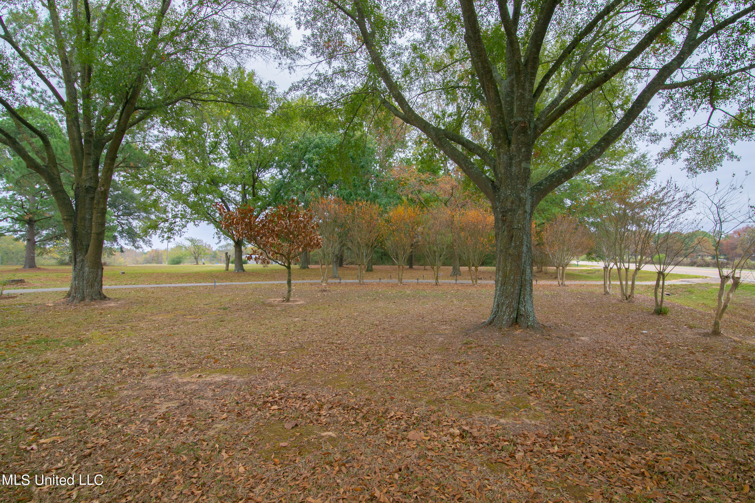 15760 Highway 35, Mize, Mississippi image 32