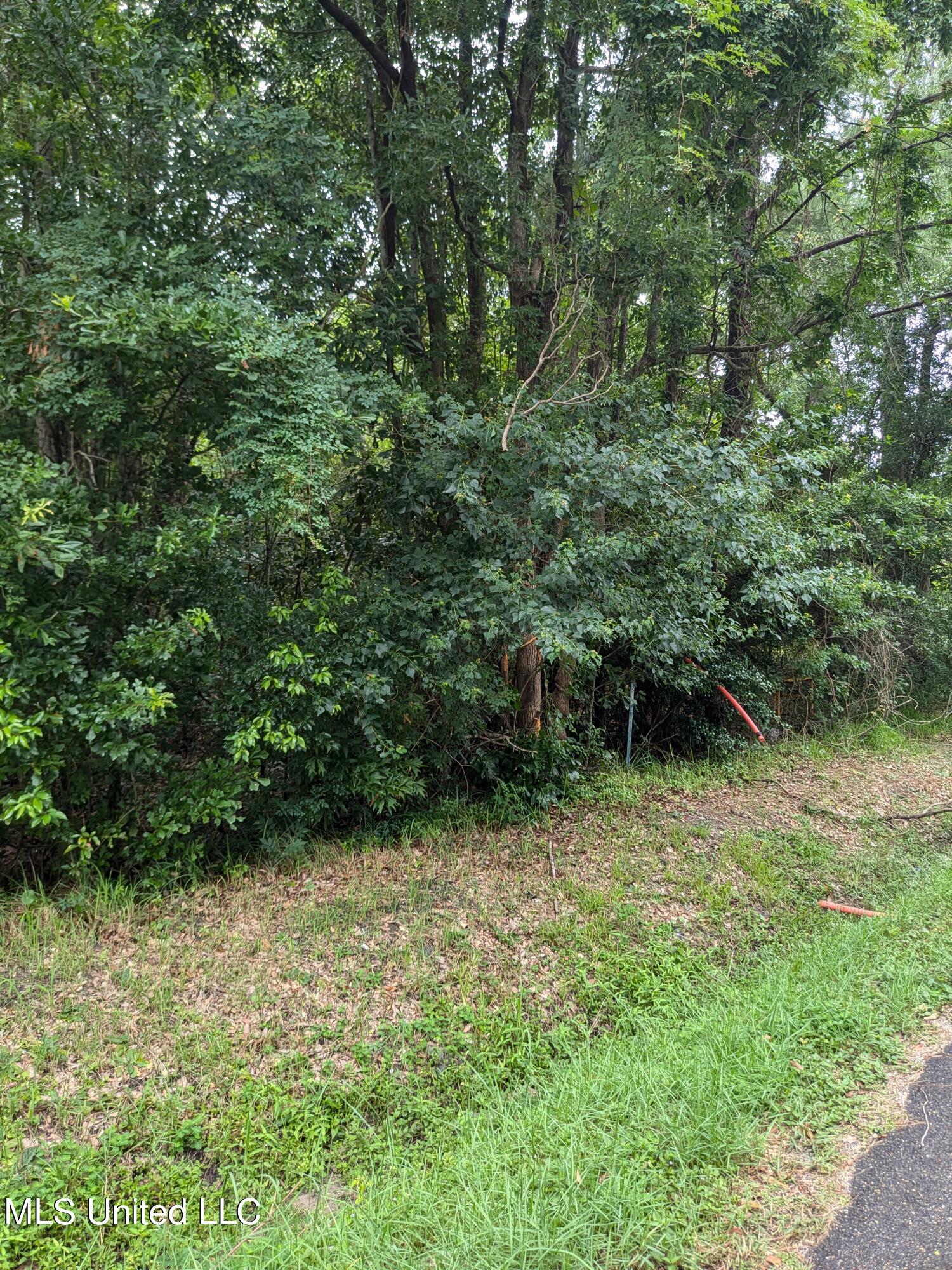 447 Sandy Street, Waveland, Mississippi image 2
