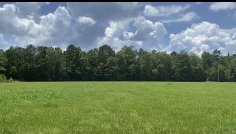 Vacant Land For Sale - 2697 River Road<br/> Lawrence County, Silver Creek, MS 39663