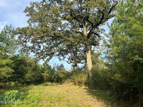 Vacant Land For Sale - TBD N River Road<br/> Summit, MS 39666