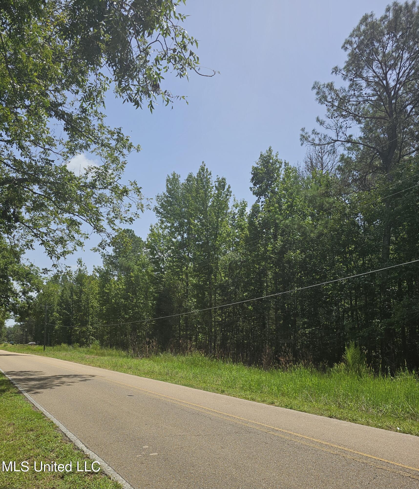 Lawrence Road, Brandon, Mississippi image 1