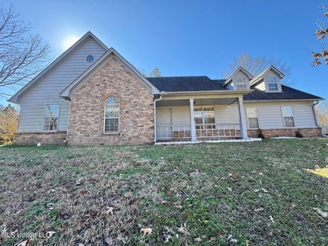 Homes For Sale - 4497 E Star Landing Road<br/> Nesbit, MS 38651