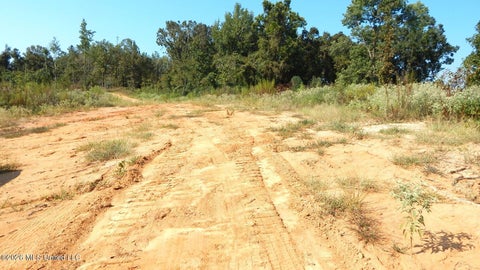 Vacant Land For Sale - 275 County Road 239<br/> Tillatoba, MS 38961
