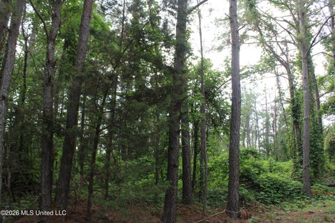Vacant Land For Sale - 351 Waites<br/> Holly Springs, MS 38635