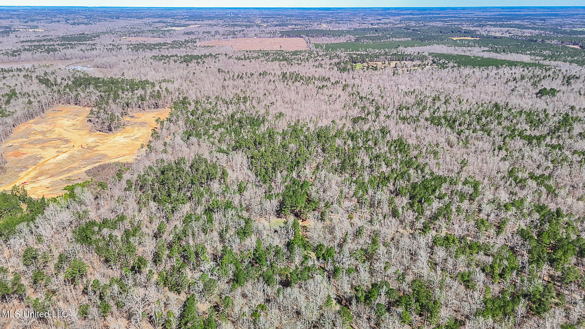 Shiloh Rd Road, Brandon, Mississippi image 15