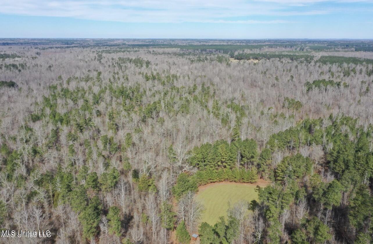 Shiloh Rd Road, Brandon, Mississippi image 9