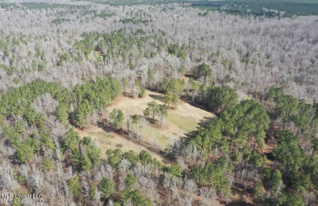 Shiloh Rd Road, Brandon, Mississippi image 12