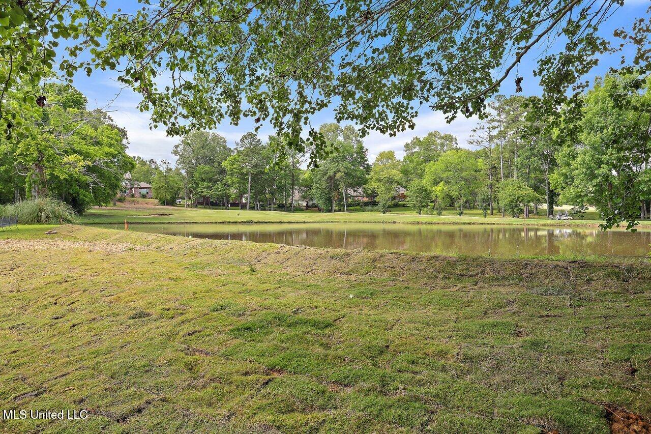 138 Sunflower Road, Madison, Mississippi image 48