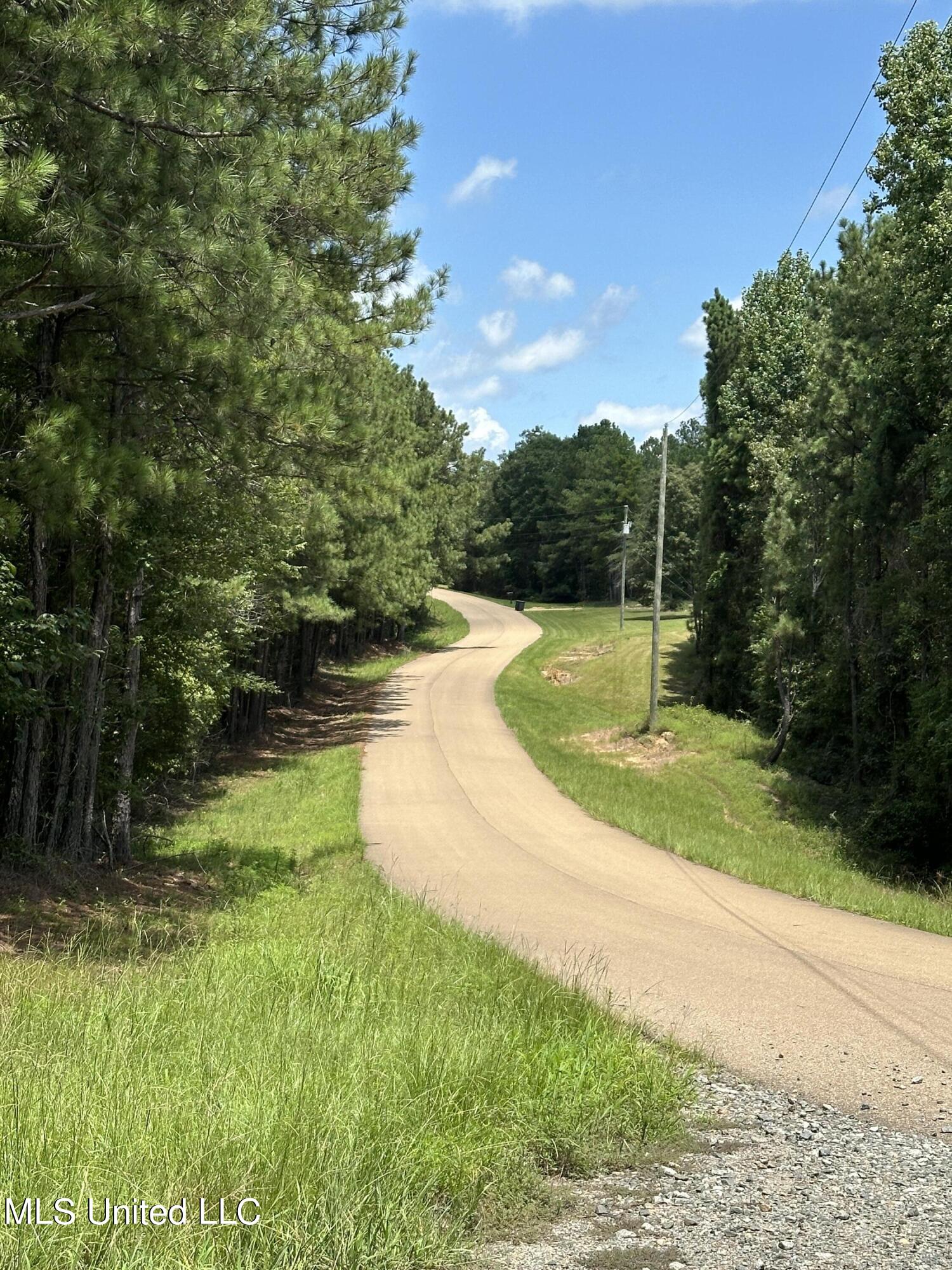 Indian Mound Ridge, Brandon, Mississippi image 1