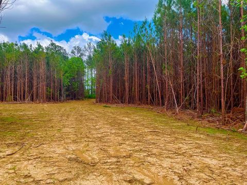 Vacant Land For Sale - TBD Reeves Rd Se<br/> Lincoln County, Ruth, MS 39662