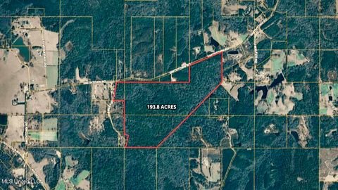 Vacant Land For Sale - 193 Sweetbay Lane<br/> Wiggins, MS 39577
