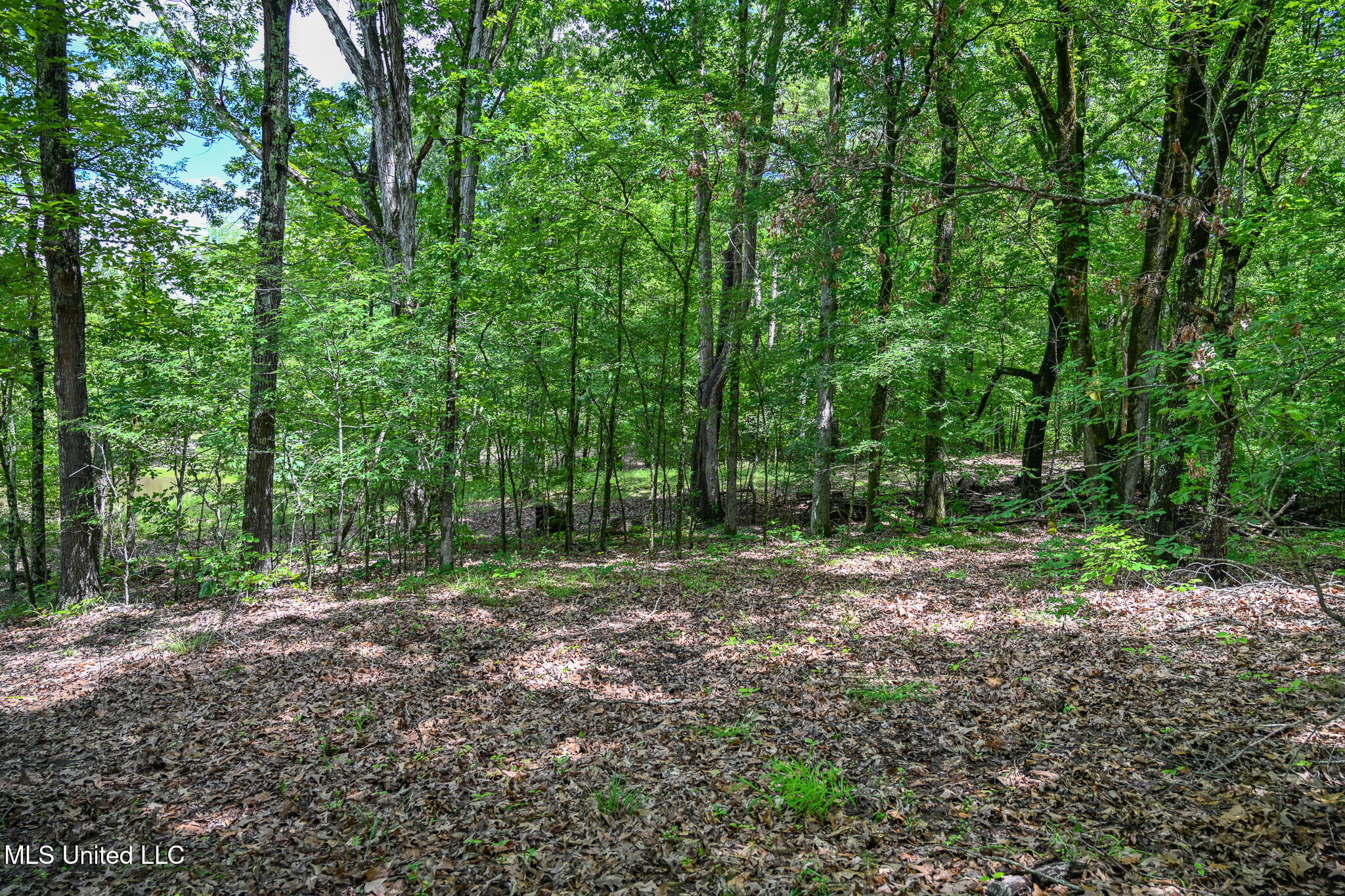 Lot 2 Woodlawn Road, Byhalia, Mississippi image 5