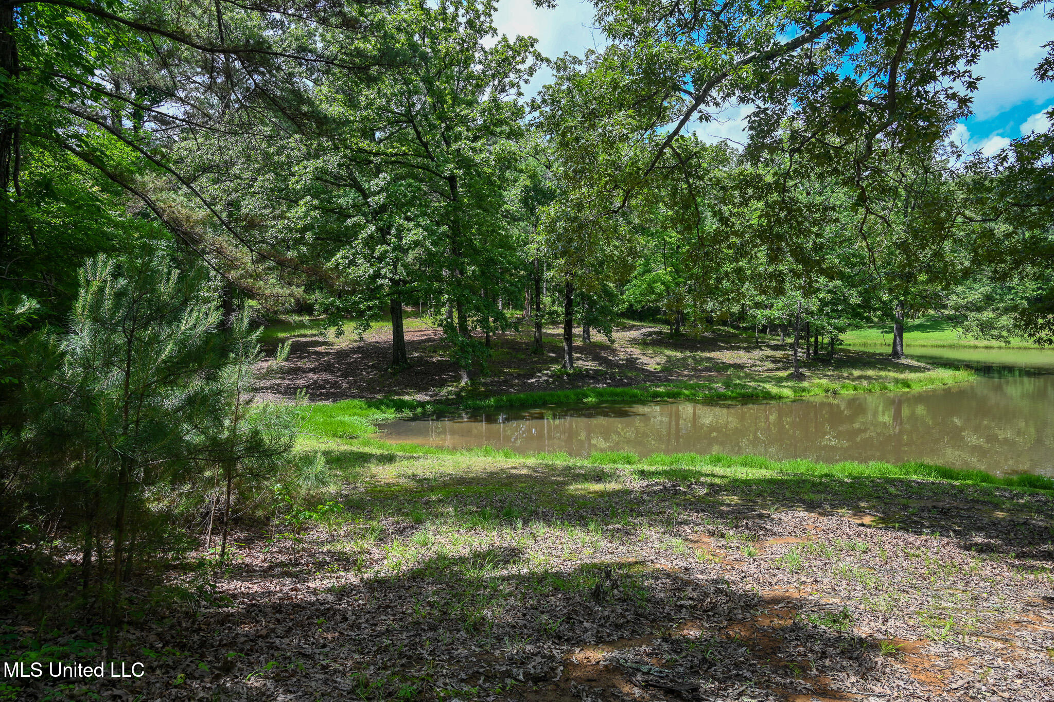 Lot 2 Woodlawn Road, Byhalia, Mississippi image 6