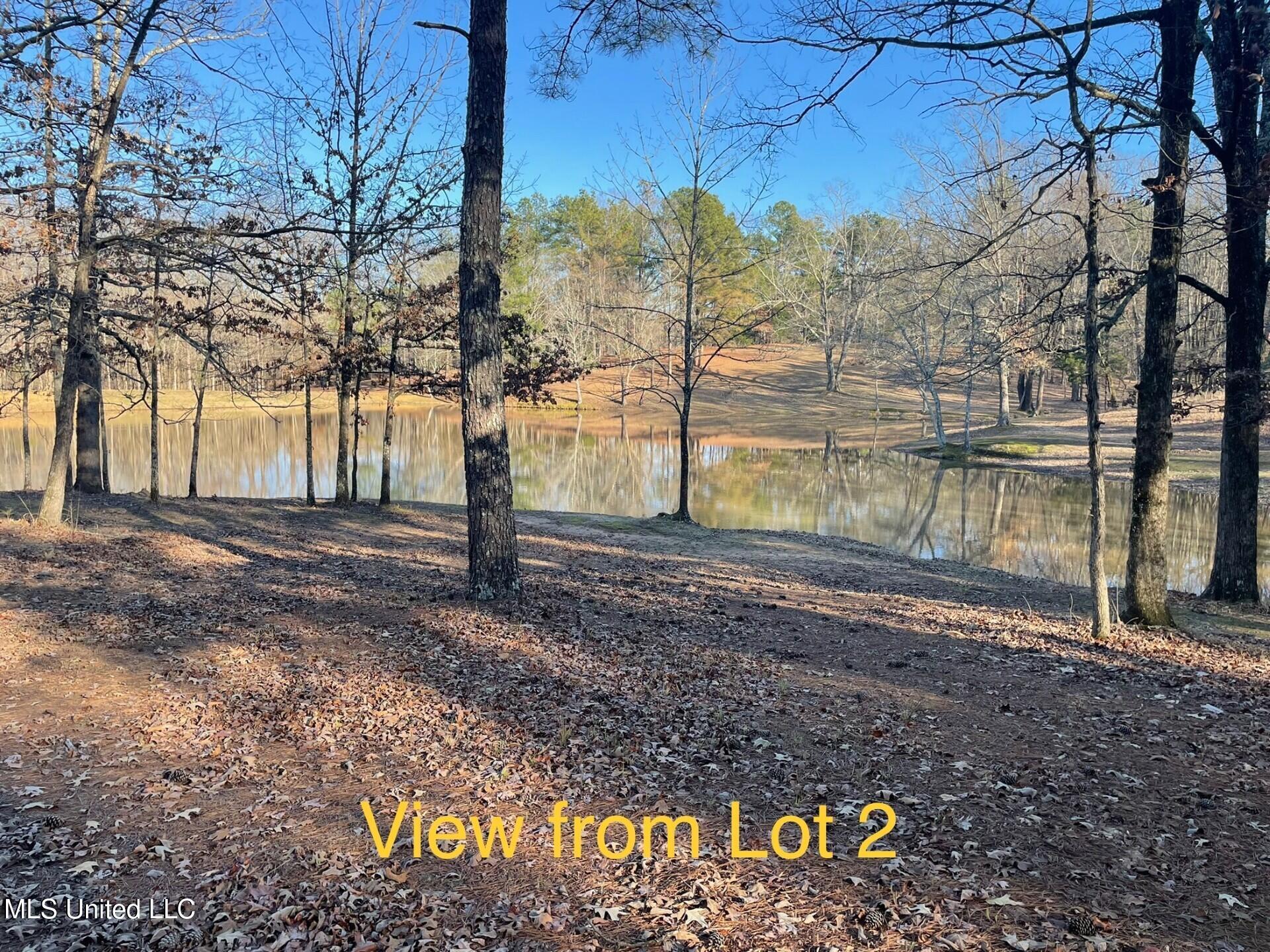 Lot 2 Woodlawn Road, Byhalia, Mississippi image 9