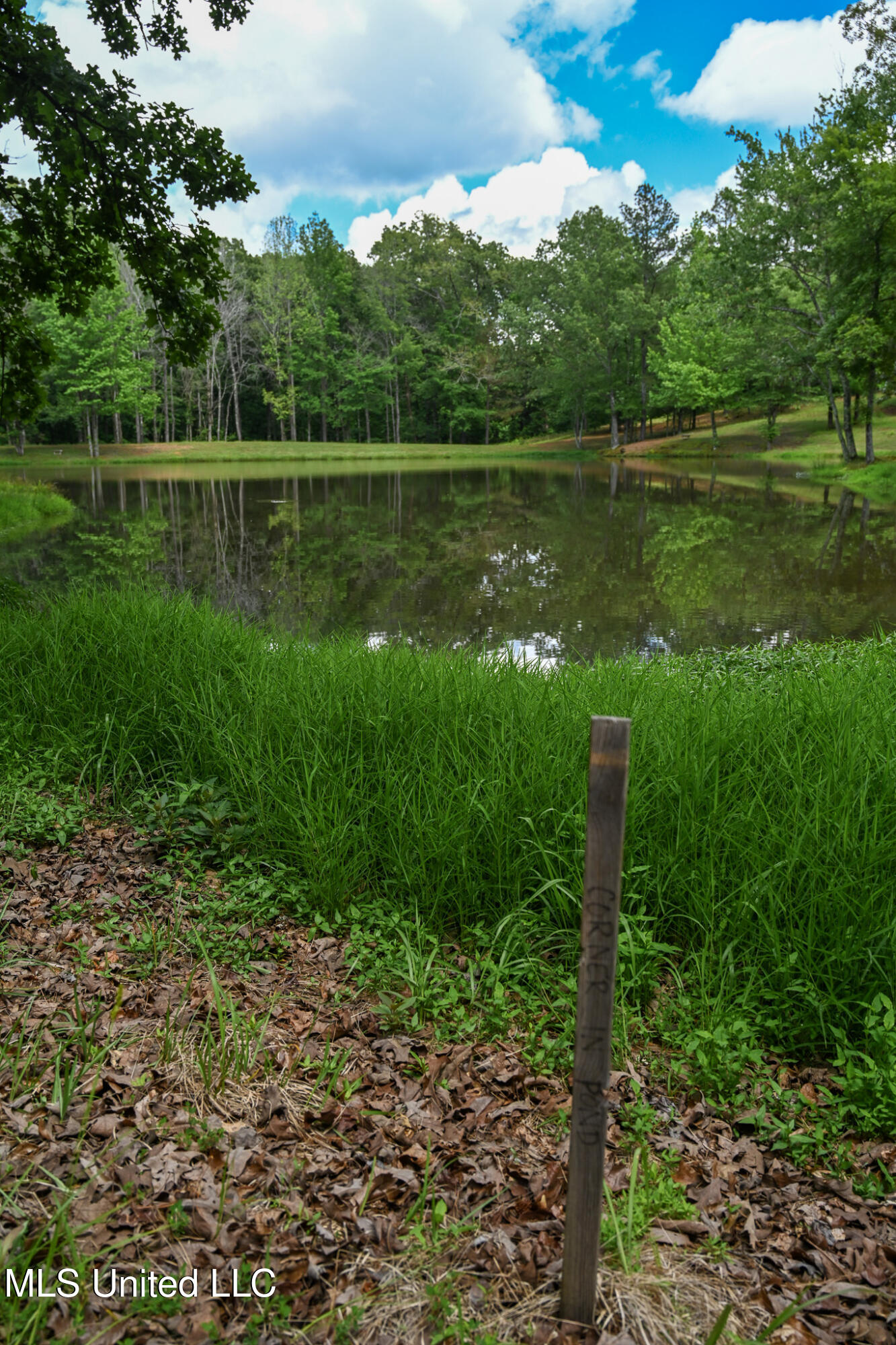 Lot 2 Woodlawn Road, Byhalia, Mississippi image 7