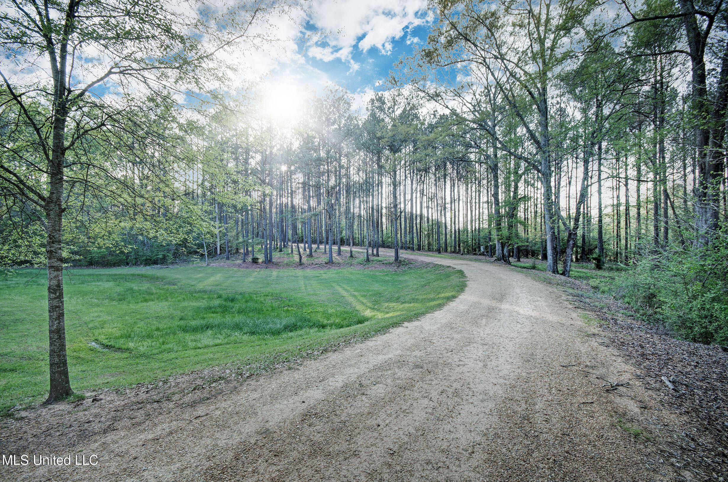 329 County Line Road, Mendenhall, Mississippi image 2