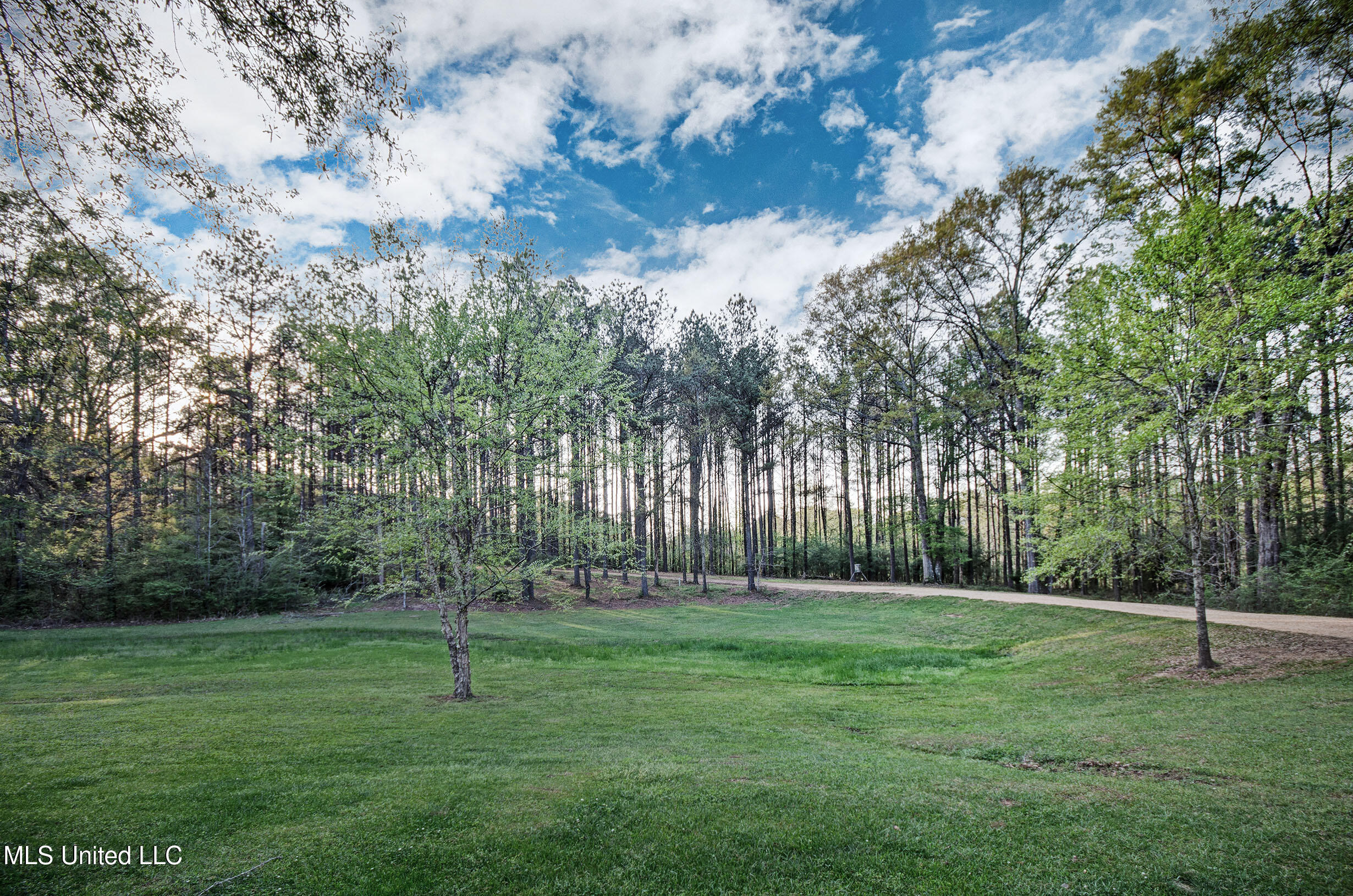 329 County Line Road, Mendenhall, Mississippi image 5