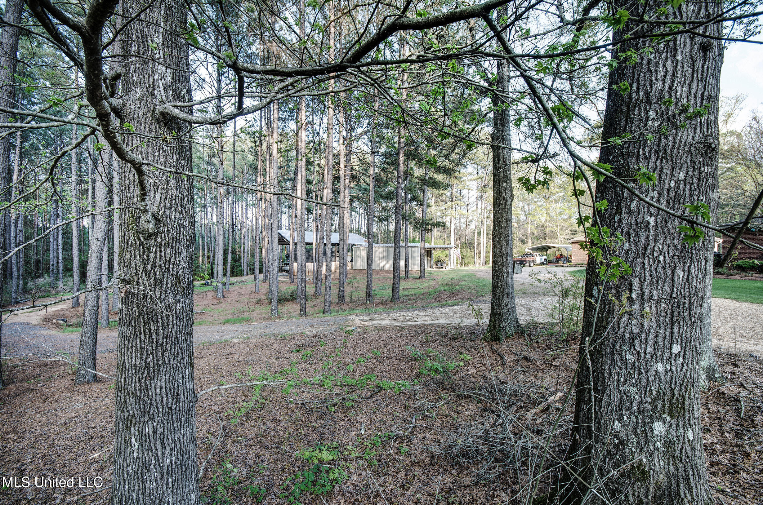 329 County Line Road, Mendenhall, Mississippi image 3