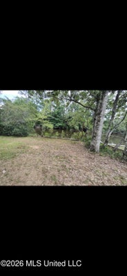 947 W LAKE SHORE DR, CARRIERE, MS 39426 - Image b26fc04febf5bf3e61f4e89299dada72/1482681236