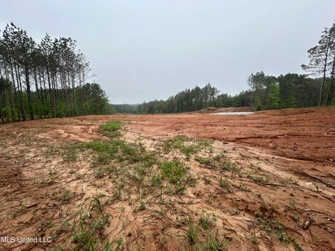 Vacant Land For Sale - 605 Cr 442<br/> Oxford, MS 38655