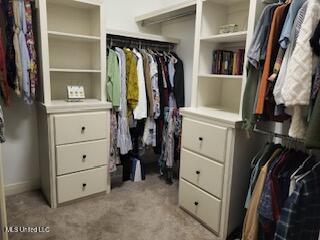 3808 Acadian Village Drive, Ocean Springs, Mississippi image 30