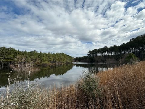 Vacant Land For Sale - Dyess Road<br/> Jefferson Davis County, Carson, MS 39427