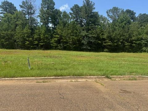 Vacant Land For Sale - LOT 4 Business Center Drive<br/> Pike County, McComb, MS 39648