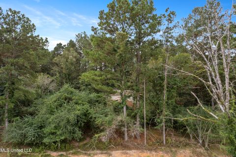 Vacant Land For Sale - PARCEL A Highway 42<br/> Richton, MS 39476