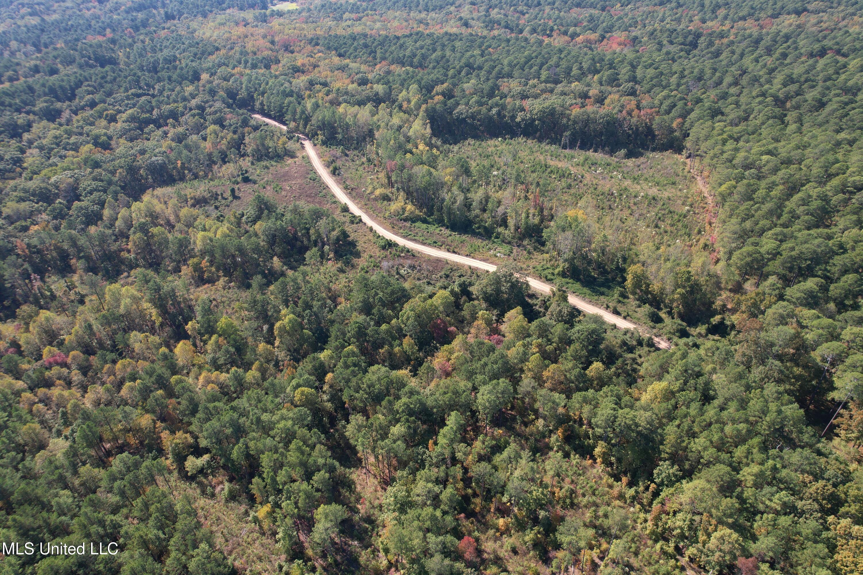 Off Highway 65, Coffeeville, Mississippi image 6